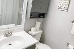 A bathroom with a white sink, a mirror, a toilet, and a shelf with a roll of toilet paper. - Home in Rochester-Mayo Clinic (Rochester)