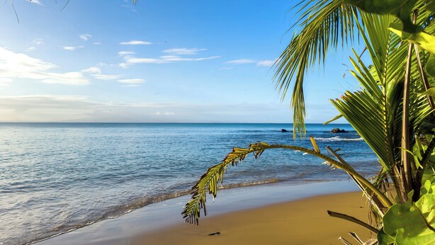 Beach - Downtown House Movie Night Walk to Beach & Ferry (Vieques)