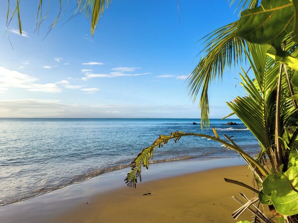 Liegestühle, Strandtücher