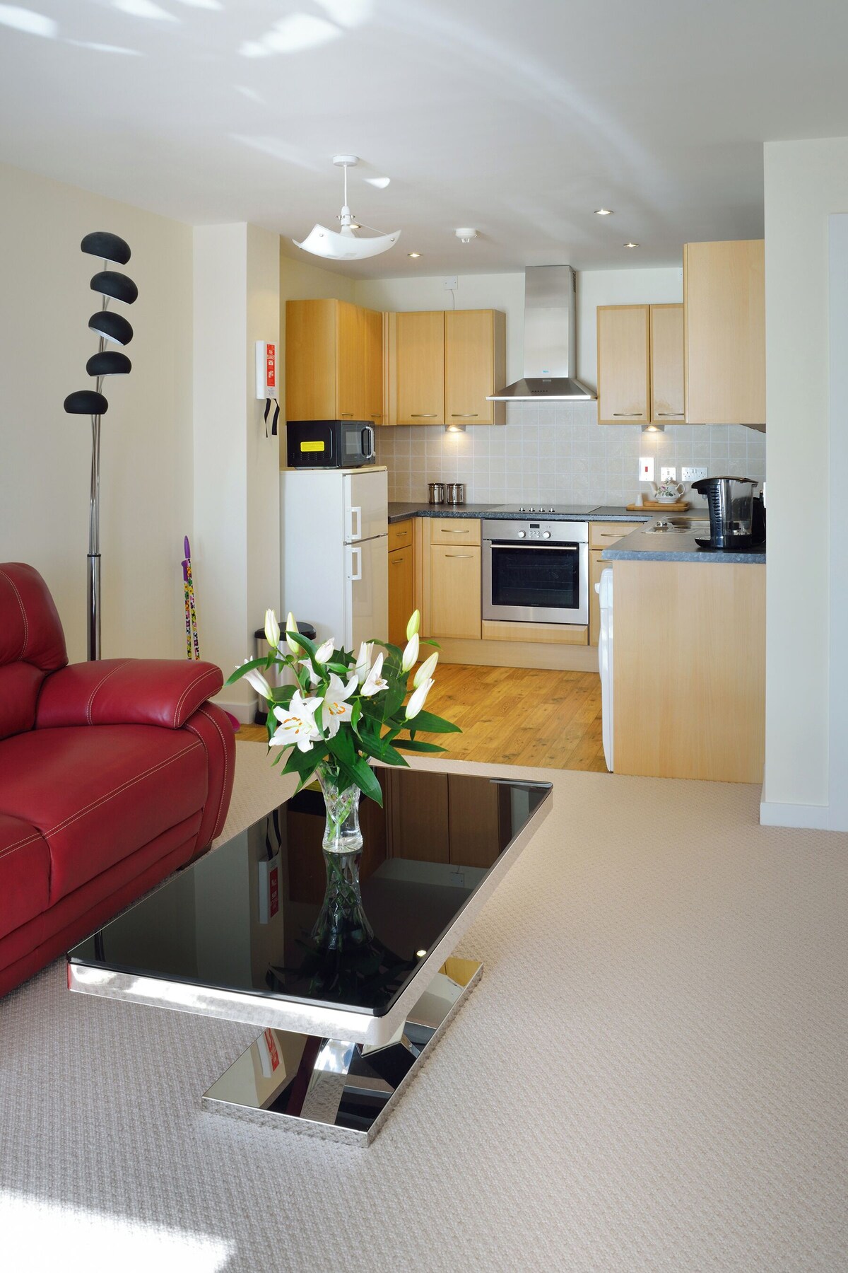 Imagen de perfil del propietario o de la propietaria