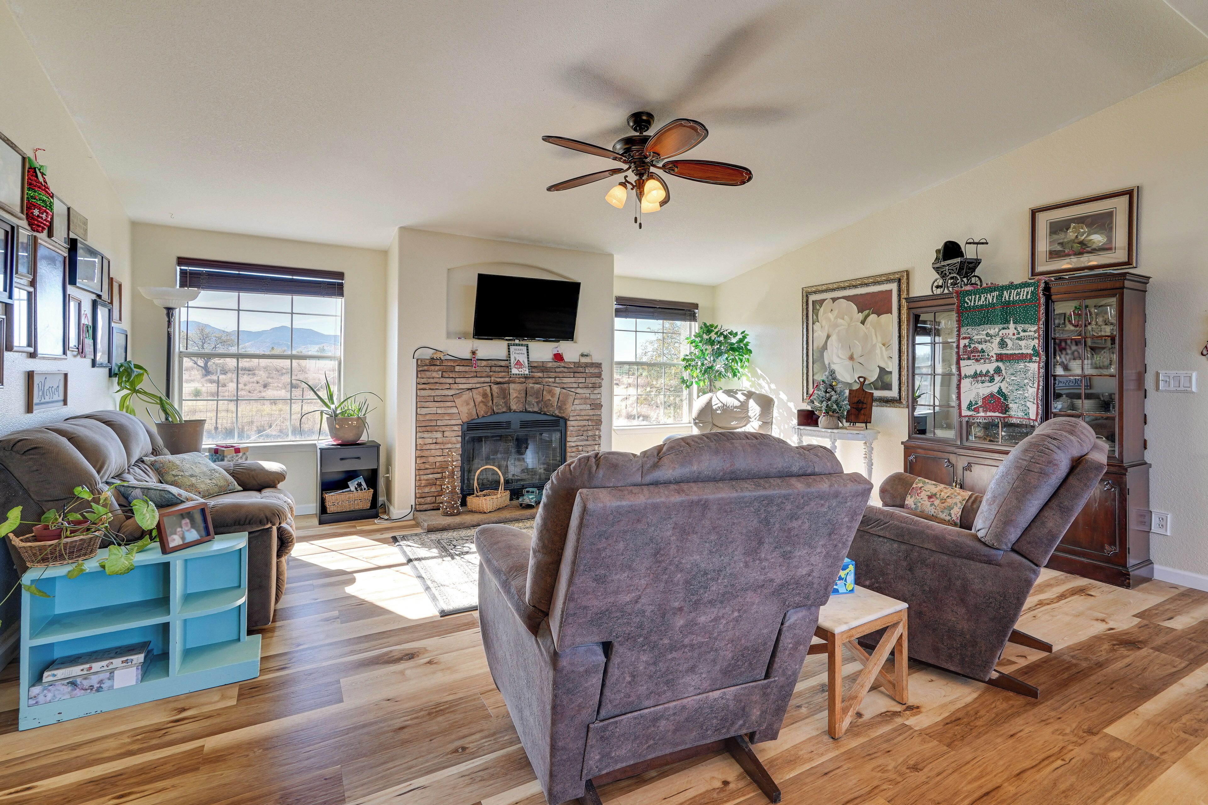 Televisión, chimenea y libros 