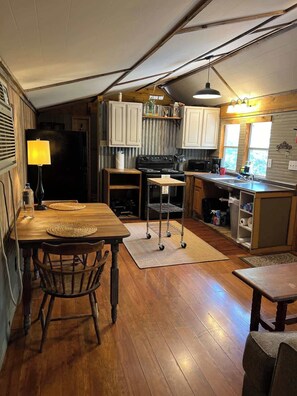 Frigorífico, microondas, horno y placa de cocina