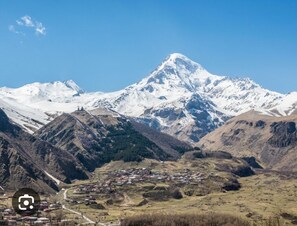 Miscellaneous - Pine Chalet Kazbegi (Stepantsminda)