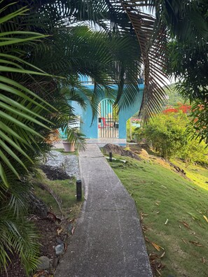 Property grounds - Charming 2-bedroom apartment in St Thomas, central location, close to beaches. (St Thomas)