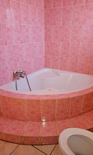 Secador de cabelo, toalhas de banho, sabonete, papel higiênico