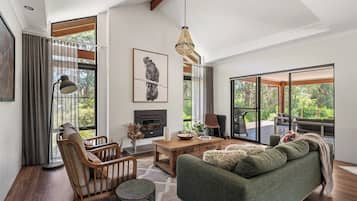 Televisión y chimenea