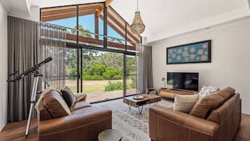 Televisión y chimenea