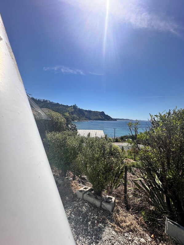 Property grounds - Goat Island Beach Reserve, Water front.. Get-away! (Leigh)