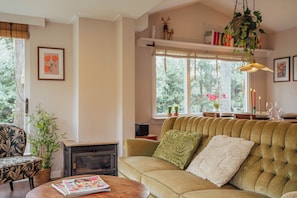 Smart TV, fireplace, books, stereo