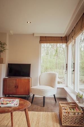 Smart TV, fireplace, books, stereo