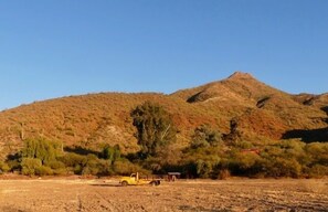 星評価なしの画像、5 / 14、ボタン