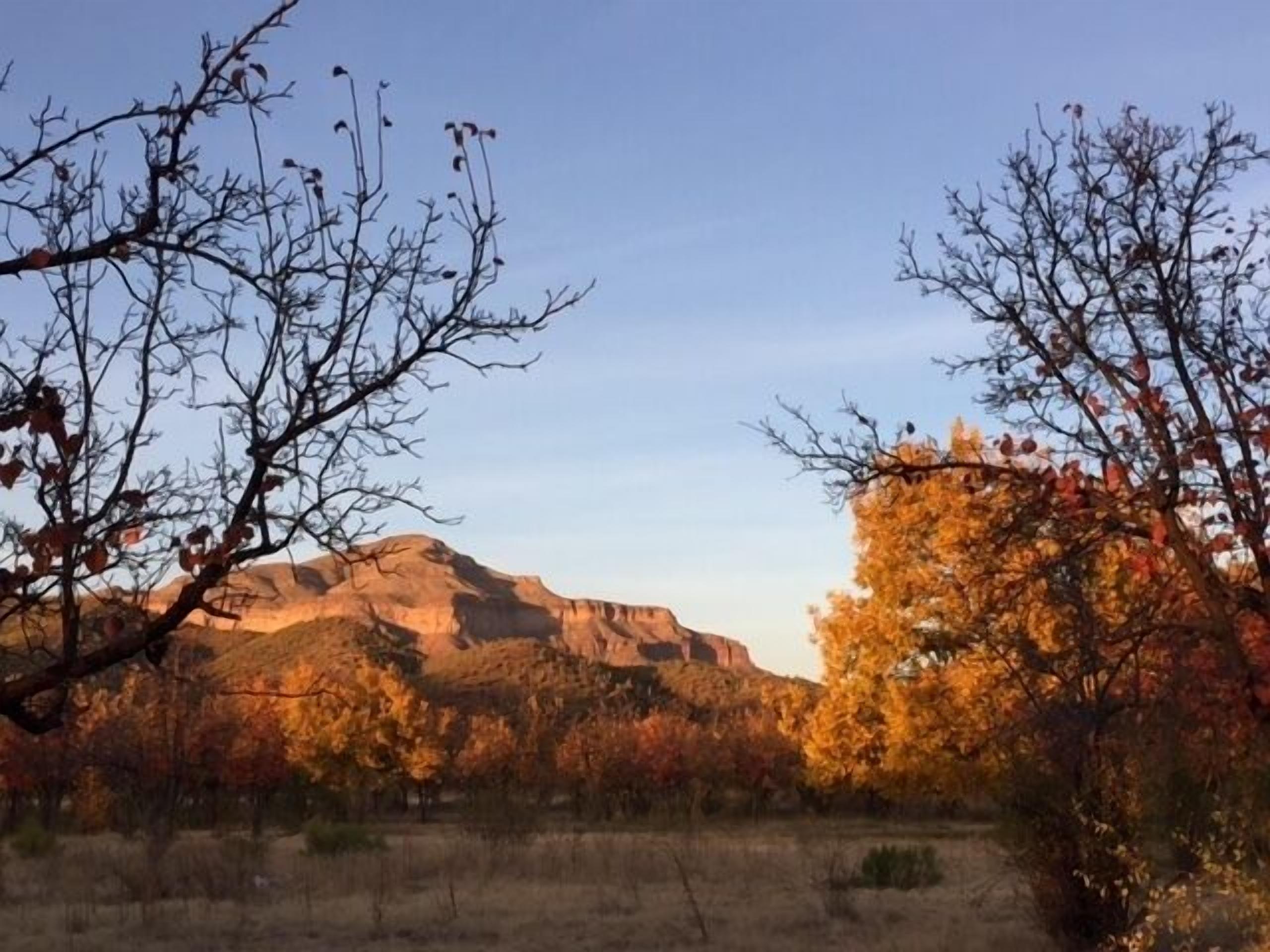 Un paysage montagneux aux couleurs automnales, sous un ciel dégagé.