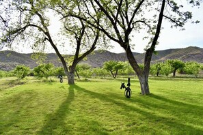 Immagine non classificata, 2 di 13, pulsante