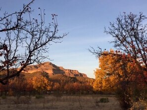 Botón de imagen sin clasificar, 4 de 16