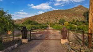 Niet-geclassificeerde afbeelding, 4 van 14, knop