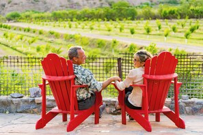 Immagine non classificata, 4 di 14, pulsante