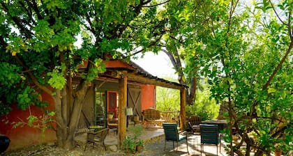 Shady Garden Patio Casita | Aravaipa
