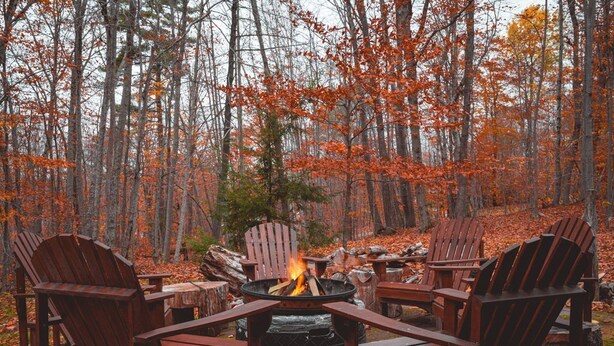 Property grounds - Sebago Pines Hideaway-Fire Pit/Beach Access/Family Friendly (Naples)