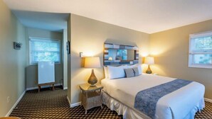 Room - Lakefront king studio with queen sofa sleeper  (Whitehall)