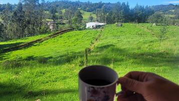 Área da propriedade