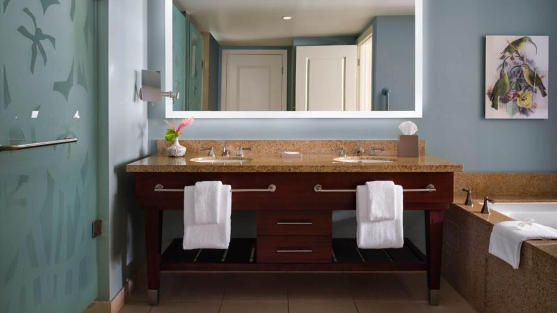 Shower, jetted tub, hair dryer, towels