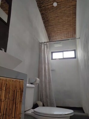 Papel de baño 