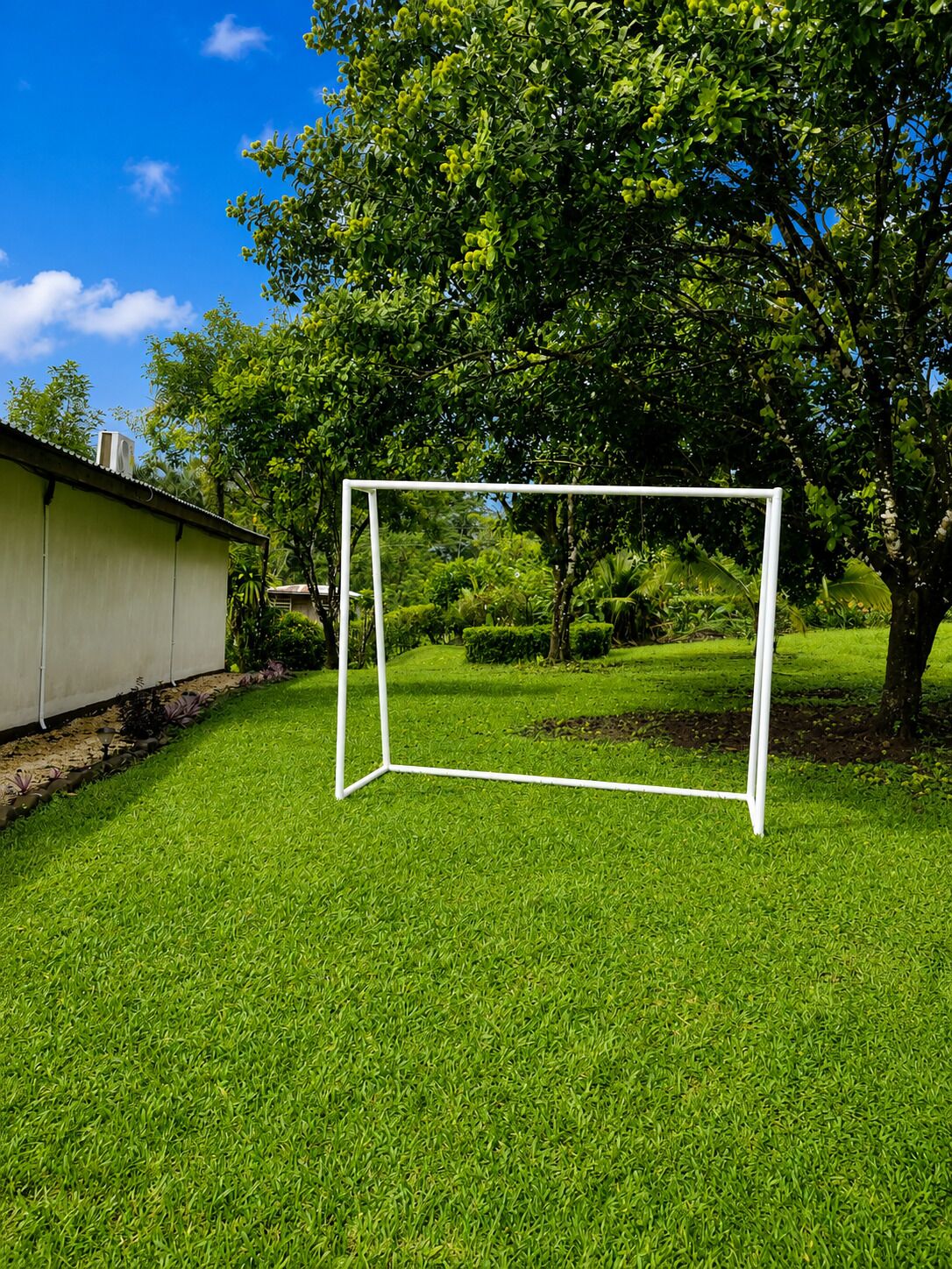Un but de football sur un terrain herbeux, avec un arbre et un bâtiment en arrière-plan.