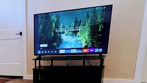 A television on a stand with a forest scene on the screen.