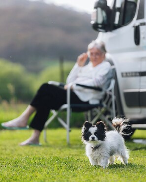 Property grounds - Valley View Caravan Park (Whitfield)