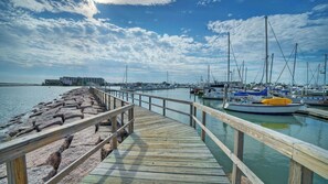 Ferienhaus (1 Bedroom) | Innenbereich