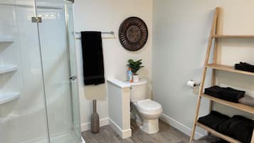 Shower, towels, soap, toilet paper