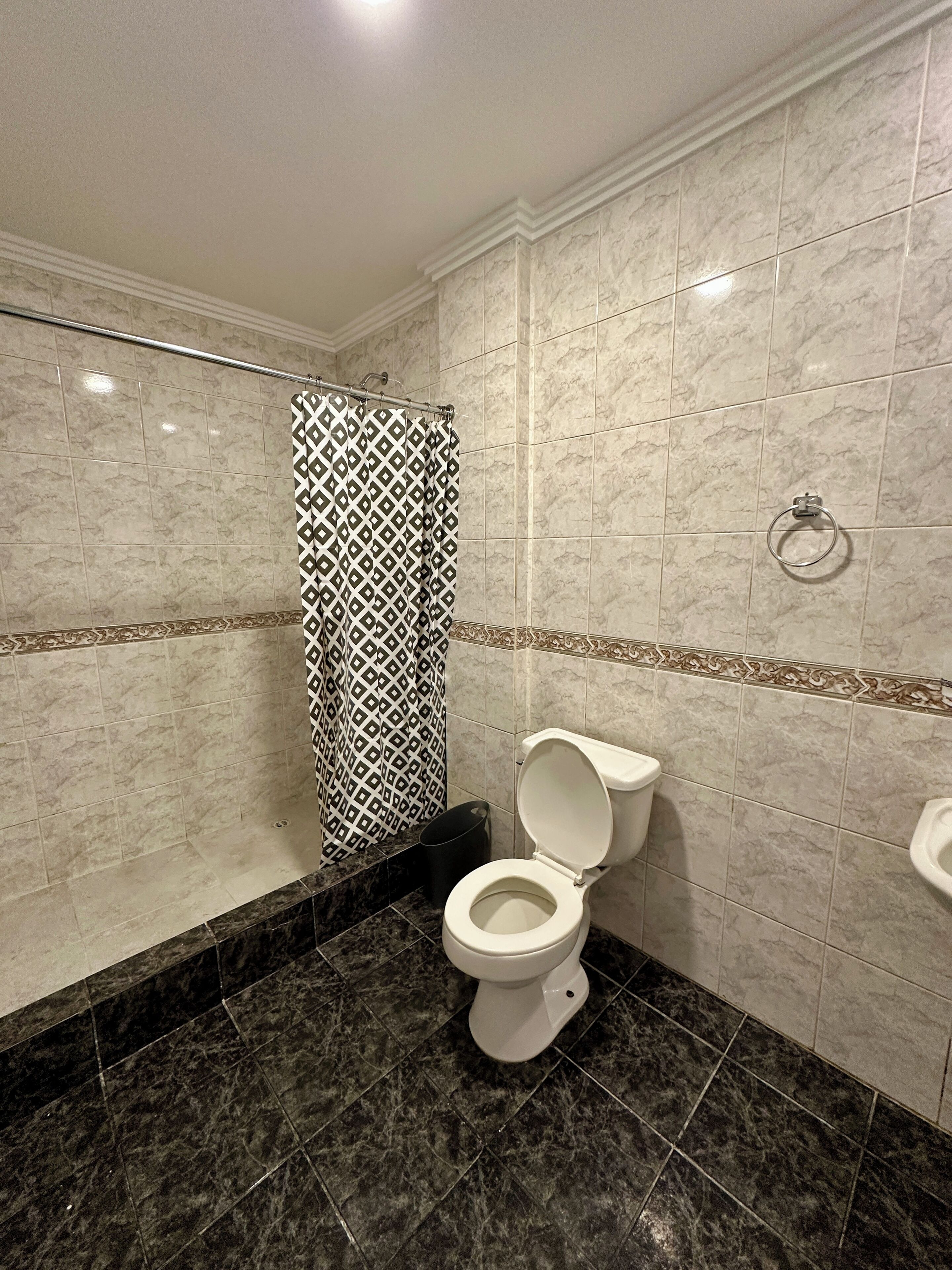 Et badeværelse med toilet, brusebad med mønstret bruseforhæng og gelænder.