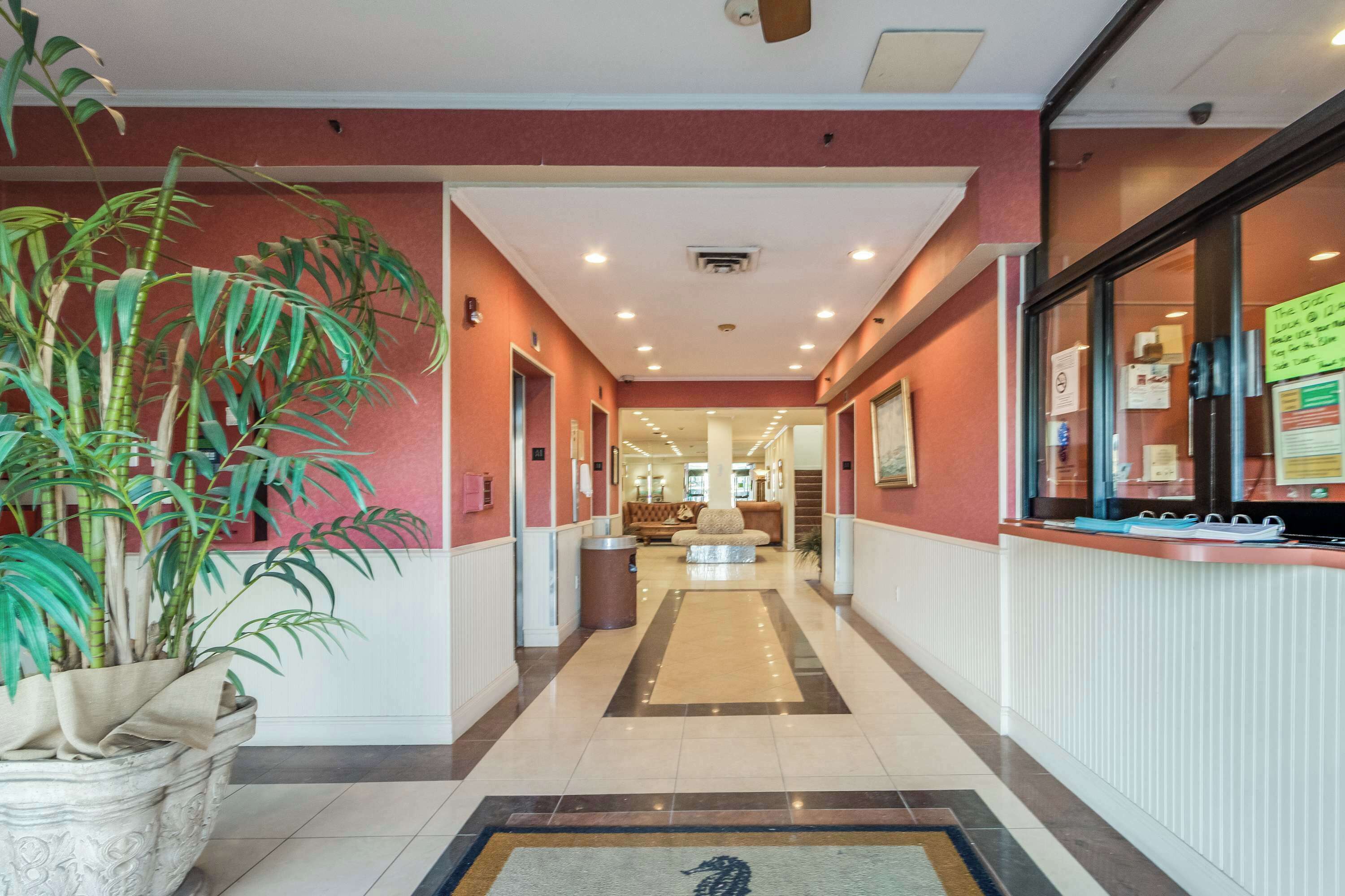 A hotel corridor with a reception desk, a large potted plant, and a patterned rug.