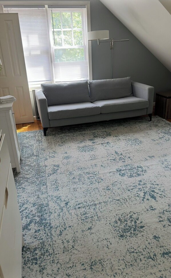 A room with a grey sofa, a white dresser, and a patterned rug.