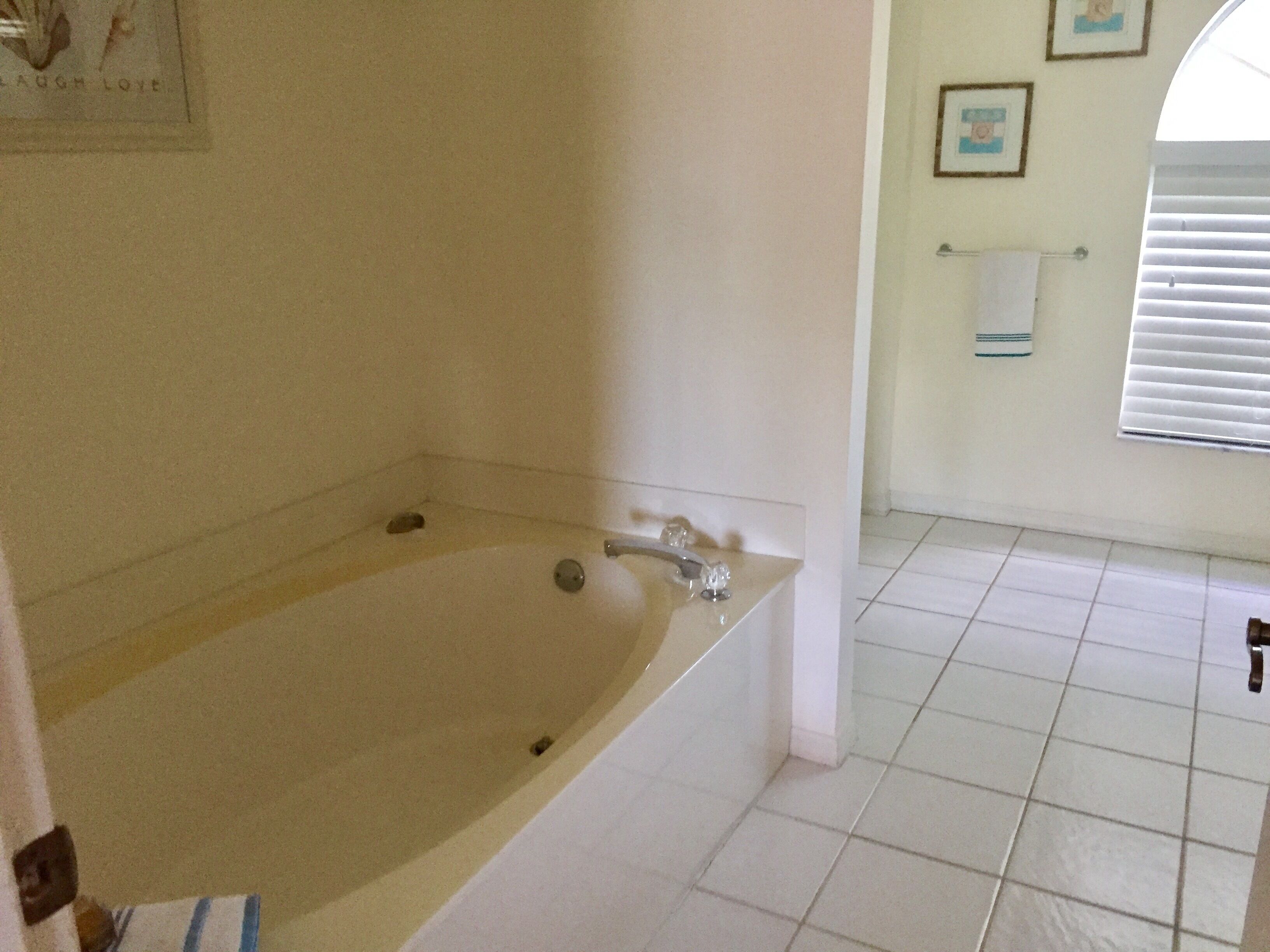 Master bathroom featuring a garden soaking tub and tile flooring