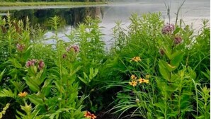 Miscellaneous - Cajun Cabin Private Nature Resort (Minden Hills)