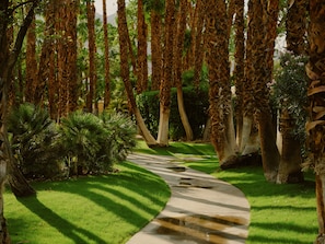 A pathway through a garden with palm trees and green shrubs. - Historic 1BR 2BR Retreat w Outdoor Shower & Private Patio in Palm Springs (Palm Springs)