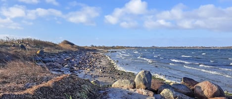 Kalastusmahdollisuus