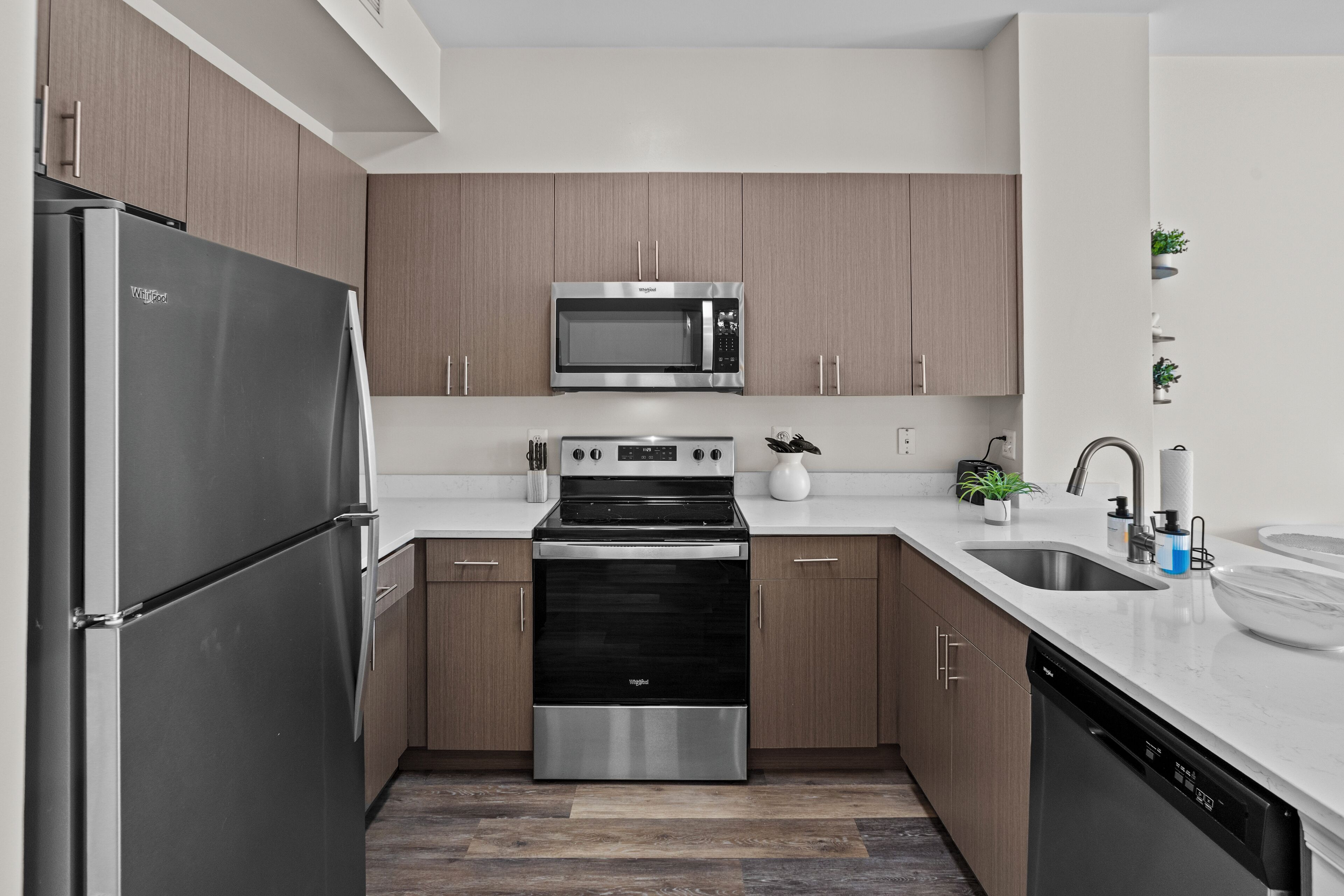 Frigorífico, microondas, horno y placa de cocina