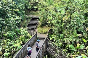 Property grounds - Ti Bwa Lodge - Garden villa with pool and sea view (Capesterre-Belle-Eau)