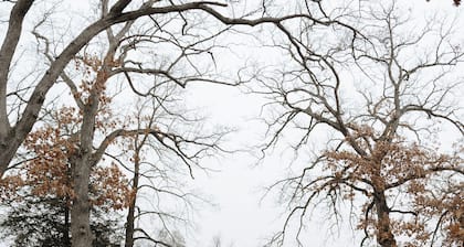 Terrific 2-bedroom house River view Machesney Park