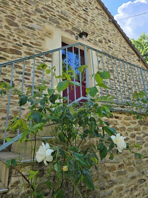 Detalle exterior