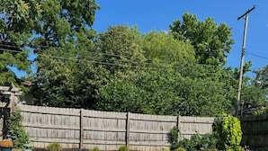 Ein Garten mit Schwimmbad, Holzlattenzaun und Rasenfläche.