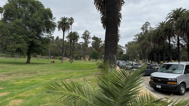 Property grounds - Charming 3-bedroom apartment in Los Angeles perfect for your stay (Los Angeles)