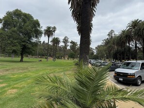 Property grounds - Charming 3-bedroom apartment in Los Angeles perfect for your stay (Los Angeles)