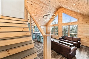 TV, fireplace, books