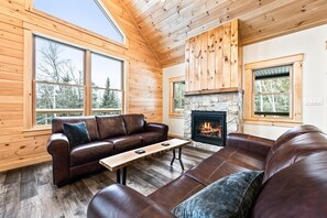 Televisión, chimenea y libros