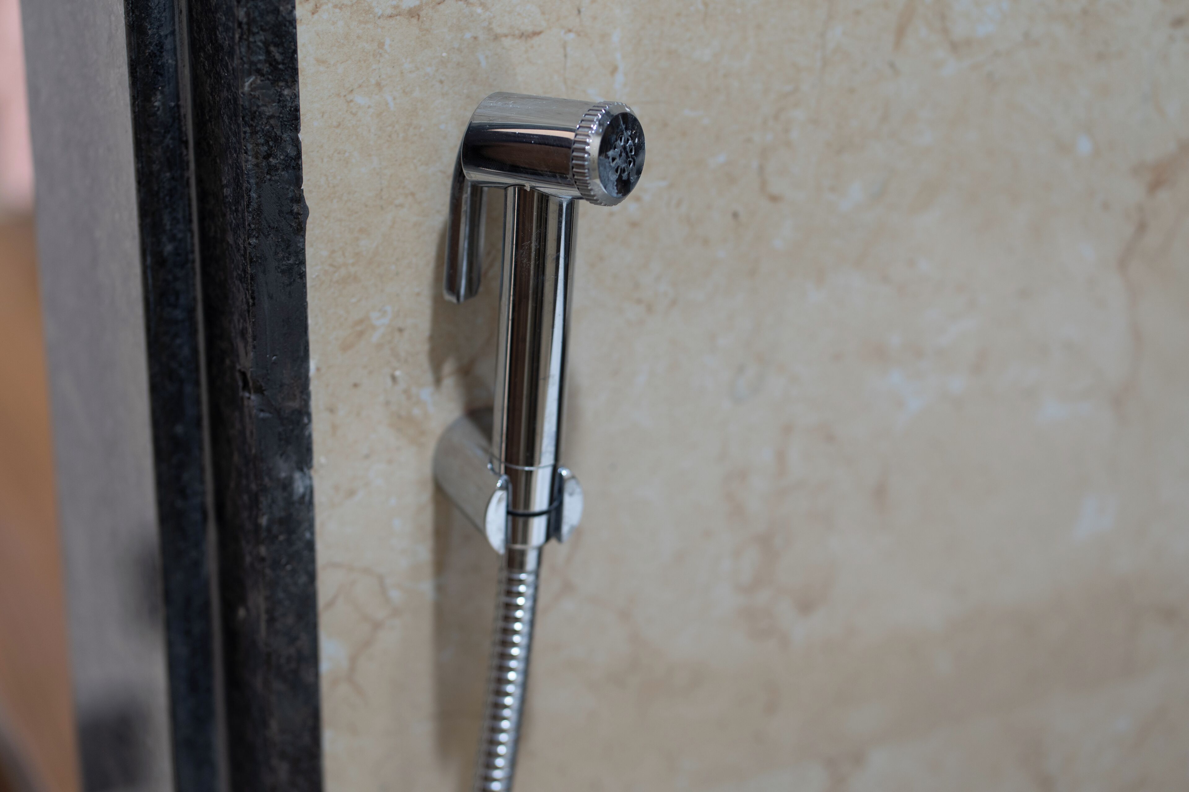 A showerhead with a flexible hose attached to a wall.