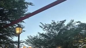 Une rue avec un passage piéton, un lampadaire et une rangée de bâtiments portant des enseignes.