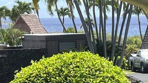 A view of a building with a small shed, surrounded by lush greenery and palm trees, with a car parked nearby. - #57 Beautifully Remodeled Studio (Pahala)